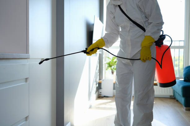 Best Comprehensive Air Testing for Mold Contaminants  in Bellevue, OH