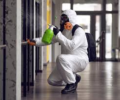 Best Mold Removal for HVAC Installations  in Bellevue, OH